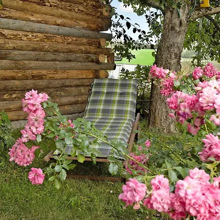 Zum Haselbach Appartement